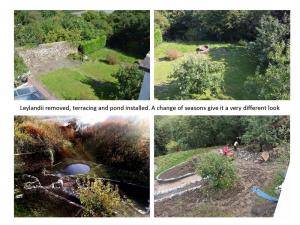 Before and after Page 1