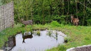 32231651 10204721008820711 4073427389609148416 o