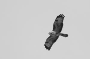 43241504 10205211387119862 3941074678142992384 o